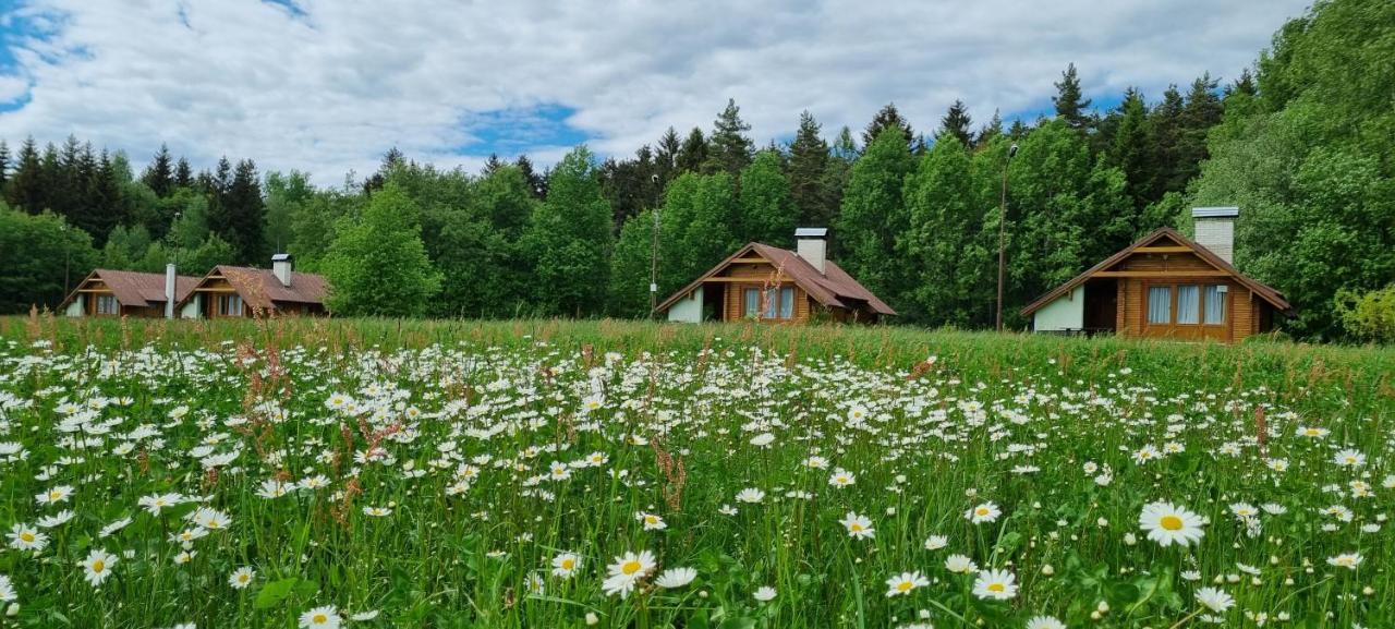 Chatky A Apartmany Apollo Na Vysocine Nove Mesto na Morave Exterior photo